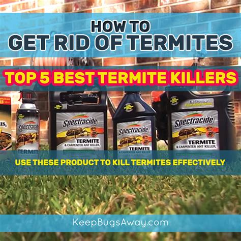 Best Termite Killer Reviews Top 5 Products That Kill Termites Effectively