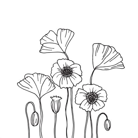 Vector Illustration In Doodle Style Simple Line Drawn Wildflowers