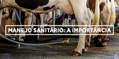 MANEJO SANITÁRIO A IMPORTÂNCIA PARA O BEM ESTAR DO GADO Labovet