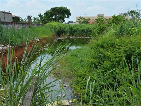 G1 Terrenos acumulam água e formam Lagoa de Dengue em Porto Velho