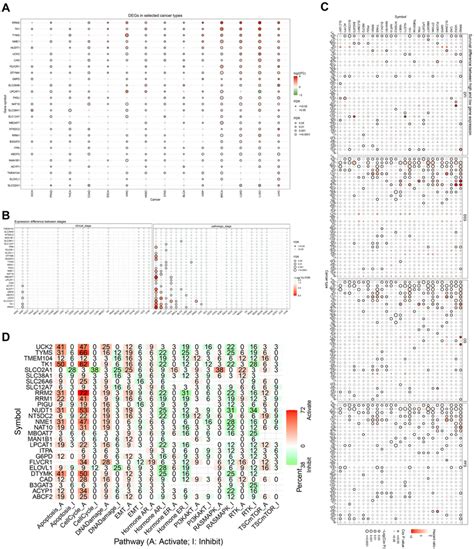 mRNA expression, survival analysis and signaling pathway analyses of ...