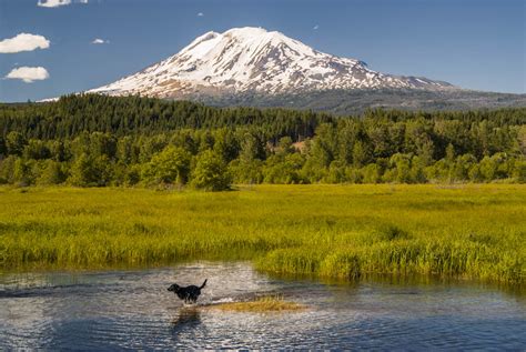 White Salmon River – No Water No Life