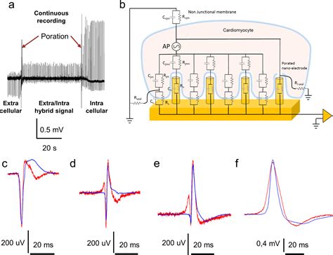 Scalable And Robust Hollow Nanopillar Electrode For Off