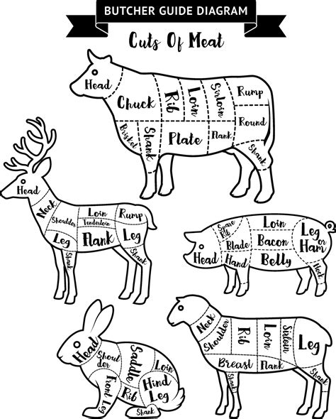 Butcher Guide Cuts Of Meat Diagram Vector Illustrations