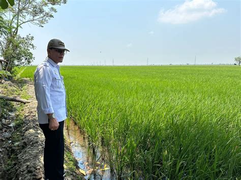 Antisipasi Kemarau Panjang Kementan Bangun Embung Di Kab