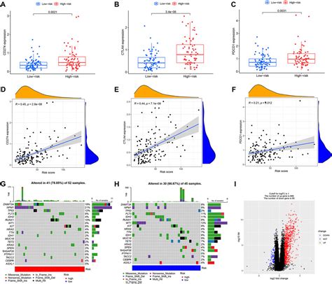 Frontiers Prognostic Characteristics Of Immune Subtypes Associated With Acute Myeloid Leukemia