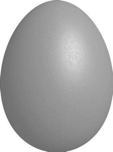 House sparrow egg Actual Size Image