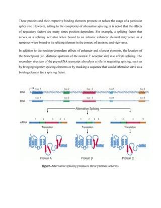 RNA Splicing | PDF