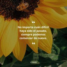 15 Ideas De Frases Frases Girasoles Imagenes De Girasoles