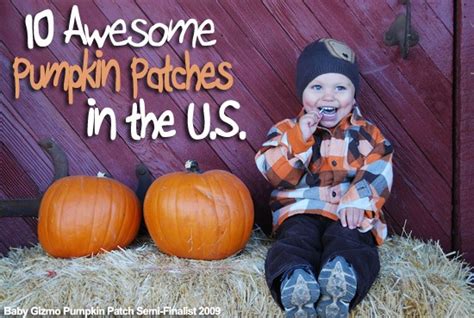 10 Awesome Pumpkin Patches Across The Us