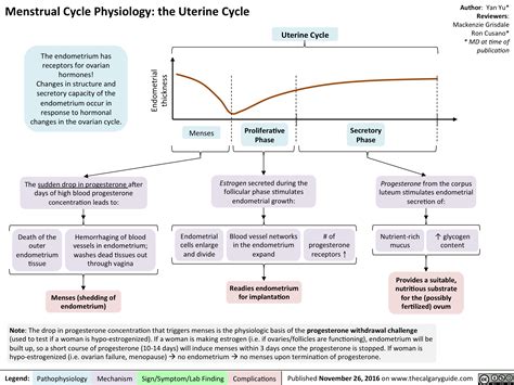 Menstrual Cycle Physiology The Uterine Cycle Calgary Guide