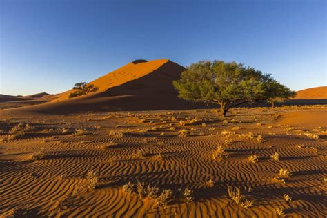 The Kalahari Desert - A-Z Animals