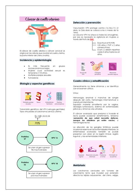 Cáncer De Cuello Uterino Cáncer De Cuello Uterino El Cáncer De Cuello