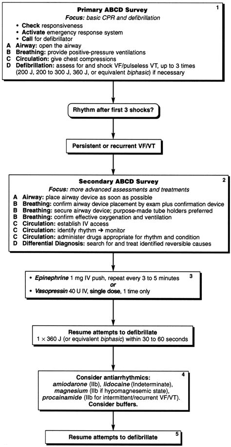 Part 6 Advanced Cardiovascular Life Support Circulation