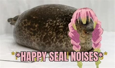 *Happy Seal Noises* : r/KimetsuNoYaiba