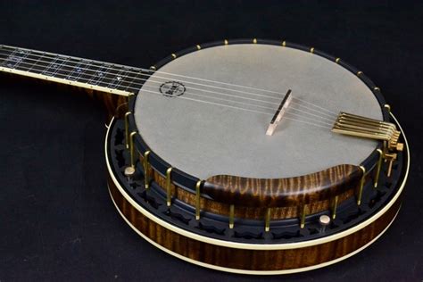 5 String Banjo How To Find The Right One For You