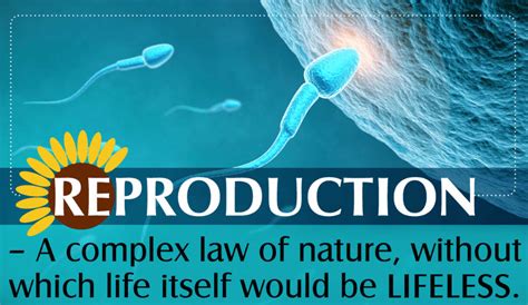 Reproduction Definition Meaning And Types