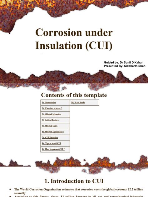 Corrosion Under Insulation | PDF | Corrosion | Stainless Steel