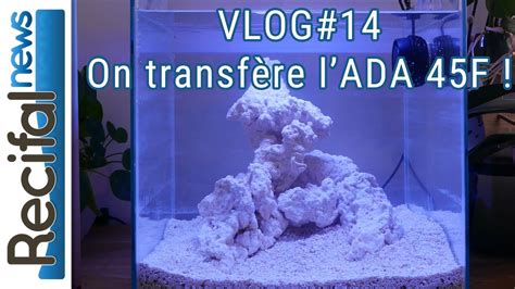 AQUARIUM NANO RECIFAL FACILE ET PAS CHER TUTO COMPLET 56 OFF