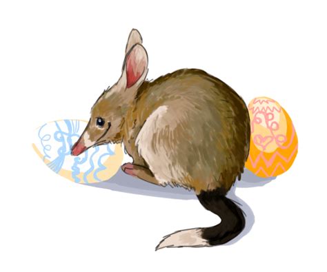 Easter Bilby by SamuraiDragon on DeviantArt