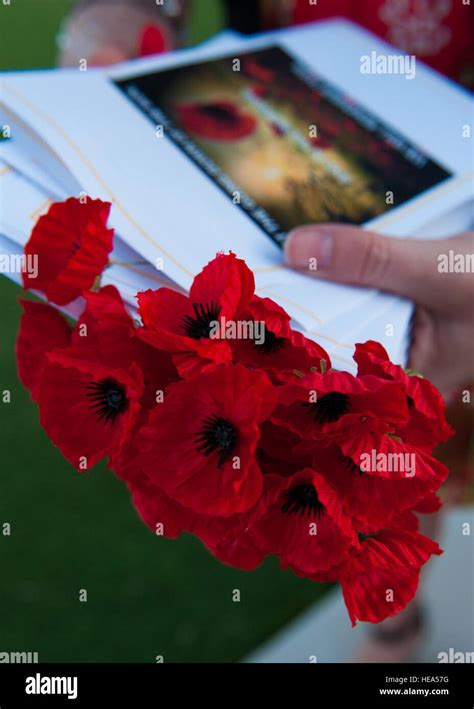 First world war battlefield poppies hi-res stock photography and images - Alamy