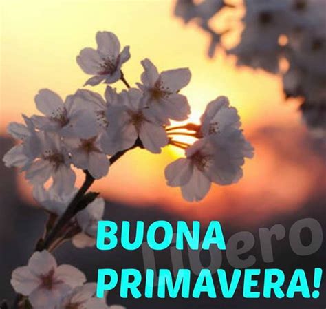 Immagini Di Primavera Con Belle Frasi Top Immagini