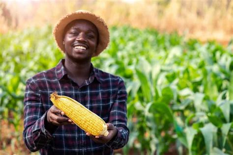 African Farmer Stock Photos Royalty Free African Farmer Images