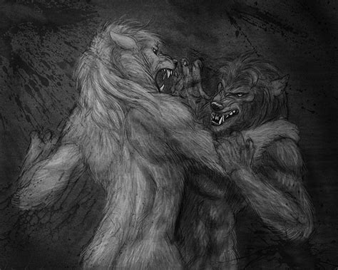 Werewolf Fight By Viergacht On Deviantart