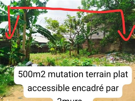 Terrains Terrain M Douala Logbaba Au Cameroun Coinafrique Cameroun