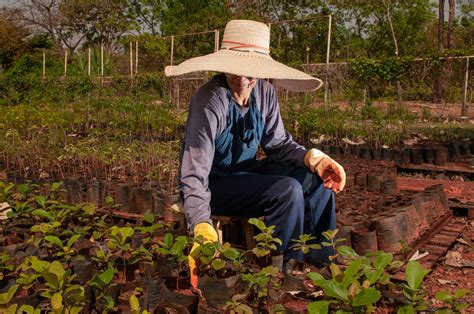 Formosa Lidera Cria O De Empregos No Agro No M S De Abril Ag Ncia