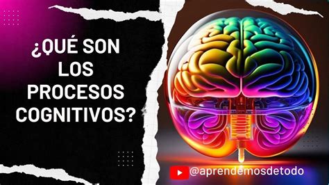 ¿quÉ Son Los Procesos Cognitivos What Are Cognitive Processes Youtube