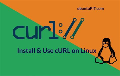 如何在 Linux 发行版上安装和使用 Curl：初学者指南