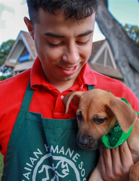 Hawaiian Humane Society - Paw Prints