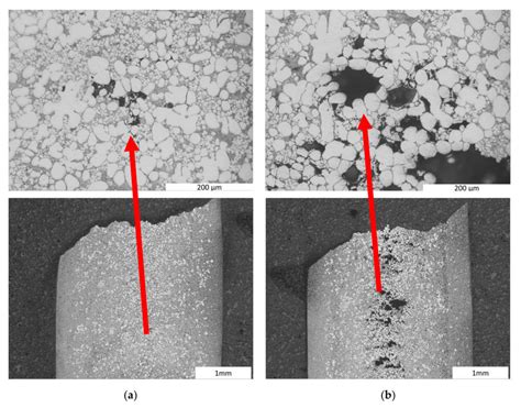 Illustration Of The Overall Microstructures In A Longitudinal