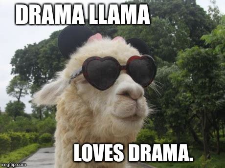 21 Funny Llama Memes If You Don't Need No Drama