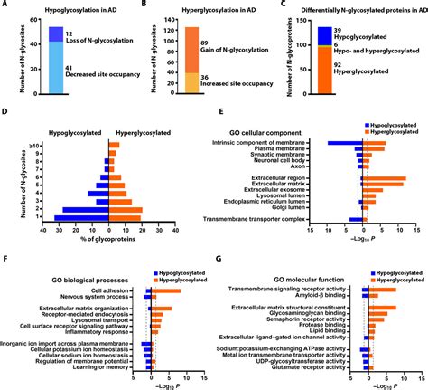 Integrative Glycoproteomics Reveals Protein N Glycosylation Aberrations