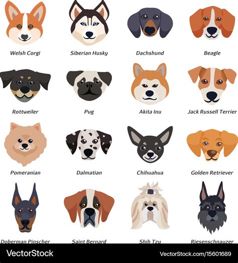 Purebred dogs faces icon set Royalty Free Vector Image