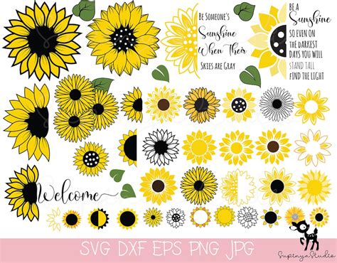 Sunflower Svg Cricut Sunflowersunflower Clipartsunflower Cut File37