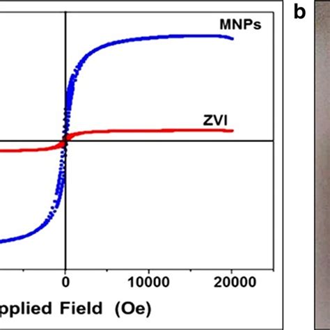 Hysteresis Loop Obtained From VSM Measurements Of MNPs And ZVINPs