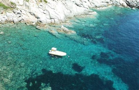 Le Snorkeling En Corse Paradisu Le Guide Complet Sur La Corse