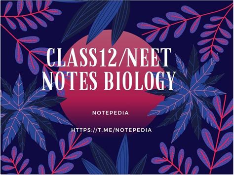 Morphology Of Flowering Plants For Neet Exams Handwritten Notes Pdf