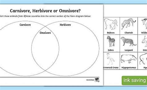 Carnivore Herbivore And Omnivore Venn Diagram Sorting Activity Primary