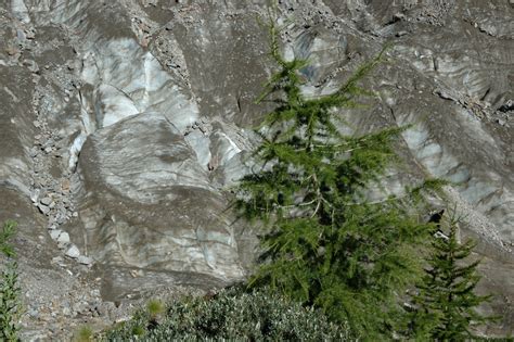 Cos Un Ghiacciaio Nero L Esempio Del Belvedere Montagna Tv