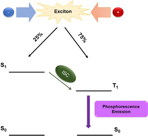 Representation Of Intersystem Crossing Isc S T And Subsequent Decay