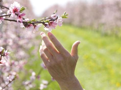 When Does Spring Begin In The Northern Hemisphere First Day Of