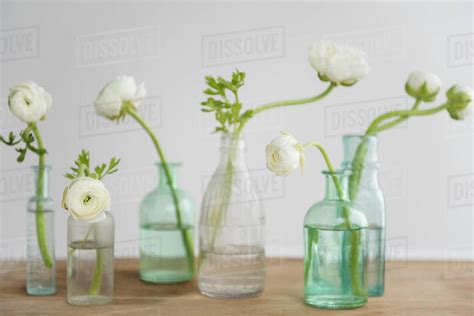 White flowers in bottles on wooden table - Stock Photo - Dissolve