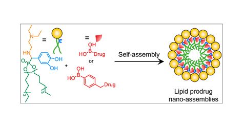 Lipid Prodrug Nanoassemblies Via Dynamic Covalent Boronates Acs Nano