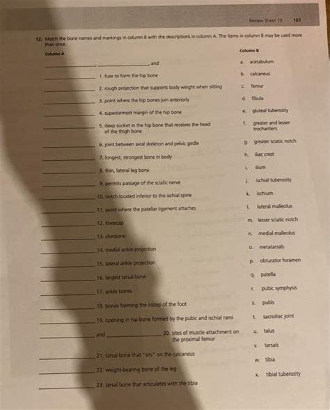 Solved Review Sheet 10 161 12 Match The Bone Names And Chegg