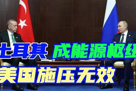 美国施压无效！俄土打造能源枢纽，埃尔多安宣布土耳其是发达国家 凤凰网视频 凤凰网