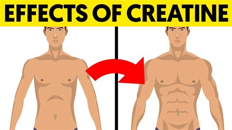 What Creatine Does To Your Muscle Gains Youtube